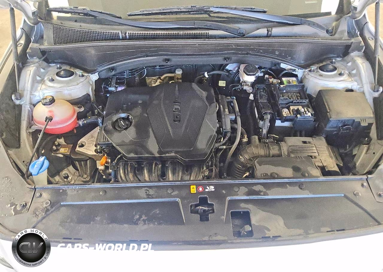 2023 Hyundai Santa Fe Sel Premium VIN:5NMS3DAJXPH531697 - 12