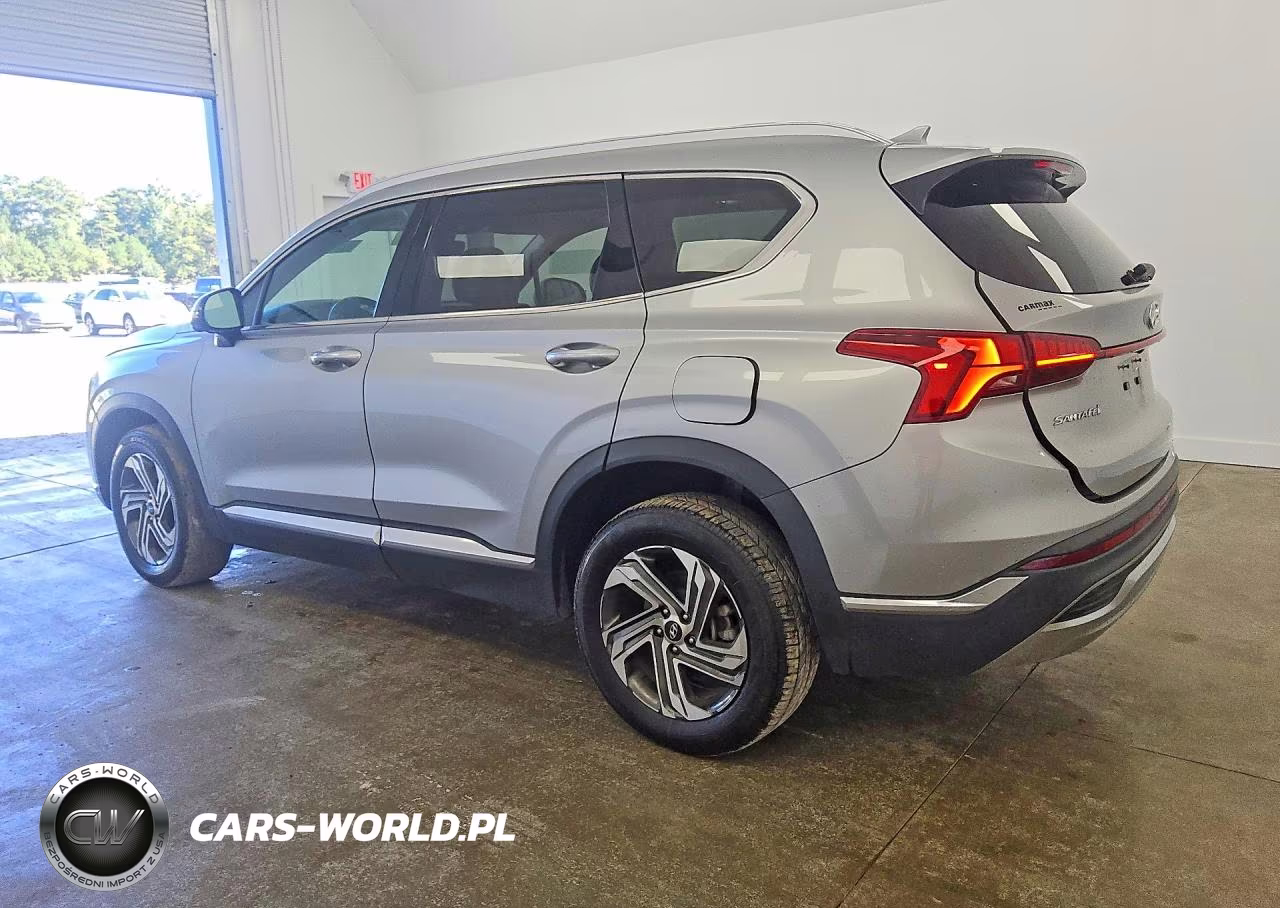 2023 Hyundai Santa Fe Sel Premium VIN:5NMS3DAJXPH531697 - 2