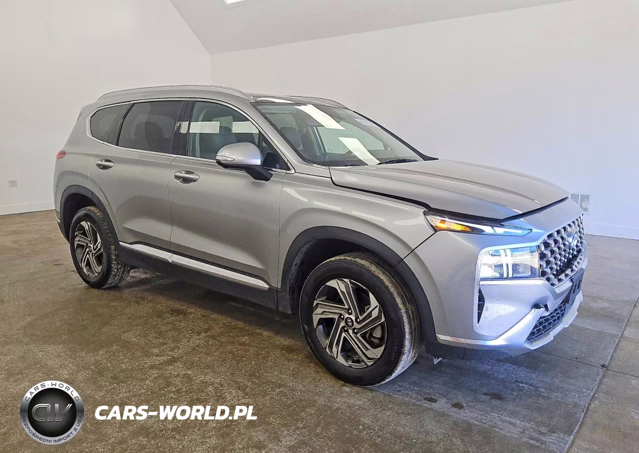 2023 Hyundai Santa Fe Sel Premium VIN:5NMS3DAJXPH531697 - 4