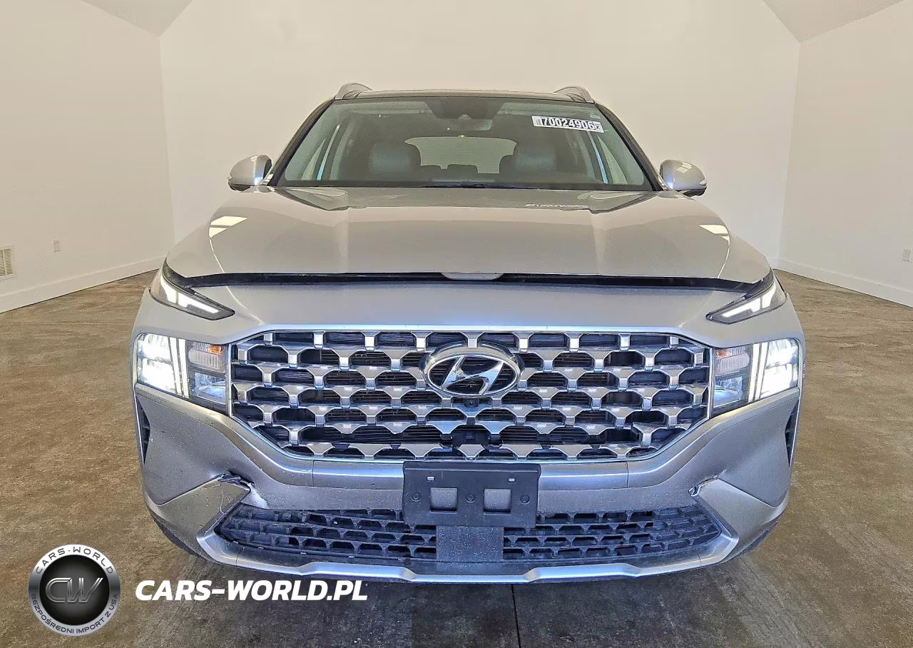2023 Hyundai Santa Fe Sel Premium VIN:5NMS3DAJXPH531697 - 5