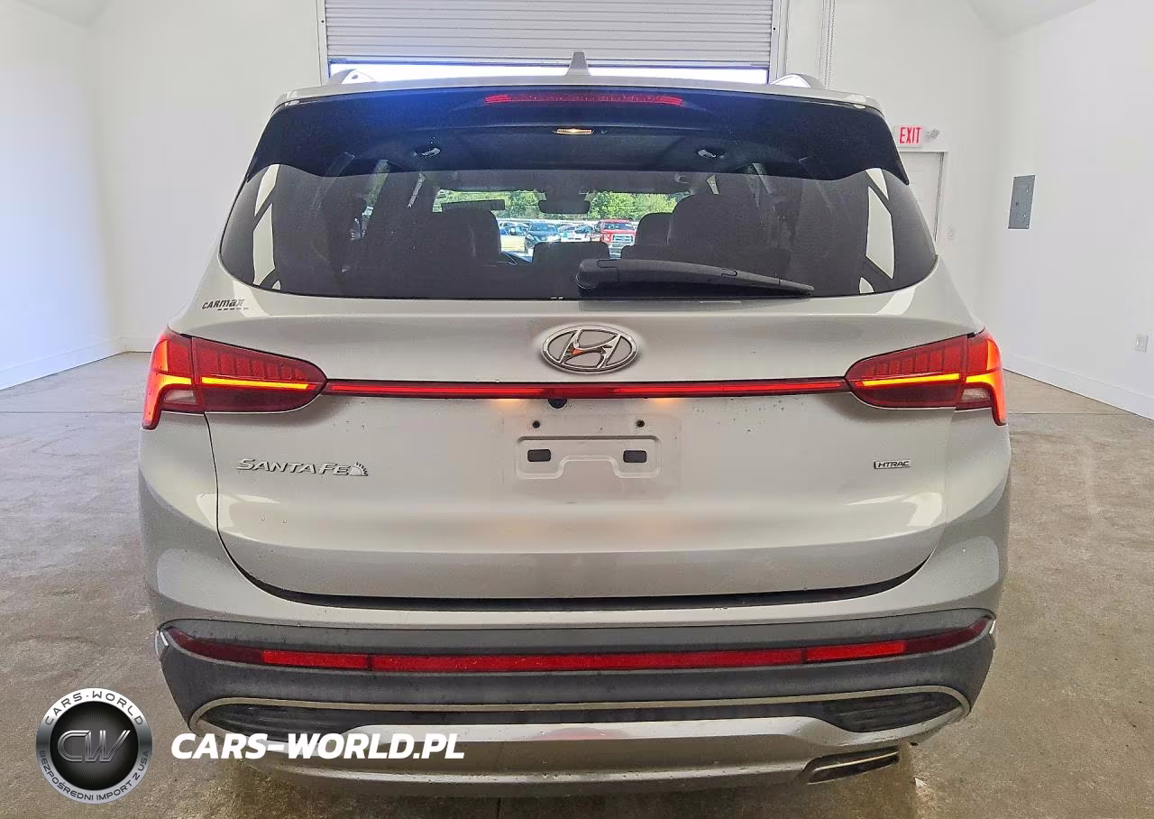 2023 Hyundai Santa Fe Sel Premium VIN:5NMS3DAJXPH531697 - 6