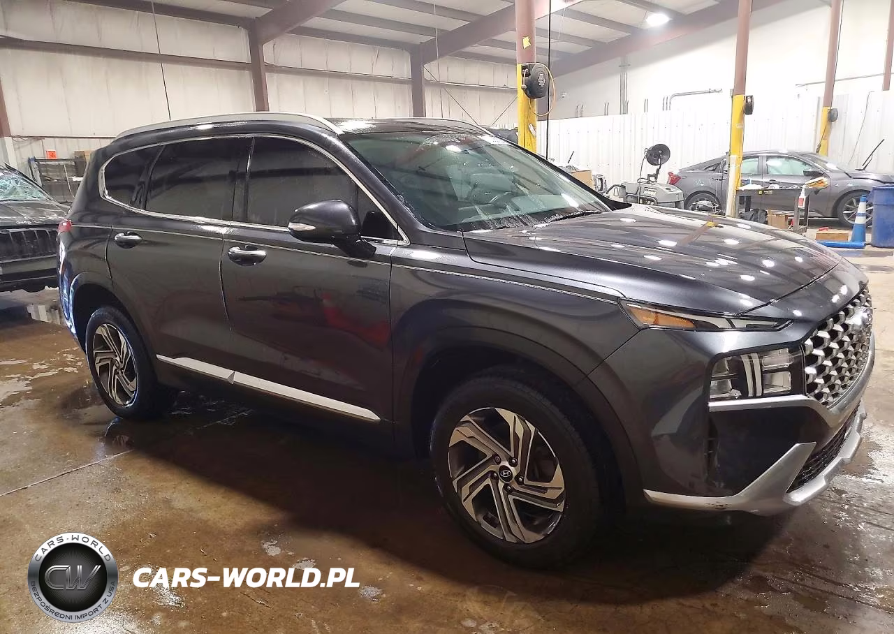 2021 Hyundai Santa Fe Sel VIN:5NMS3DAJ8MH347497 - 4
