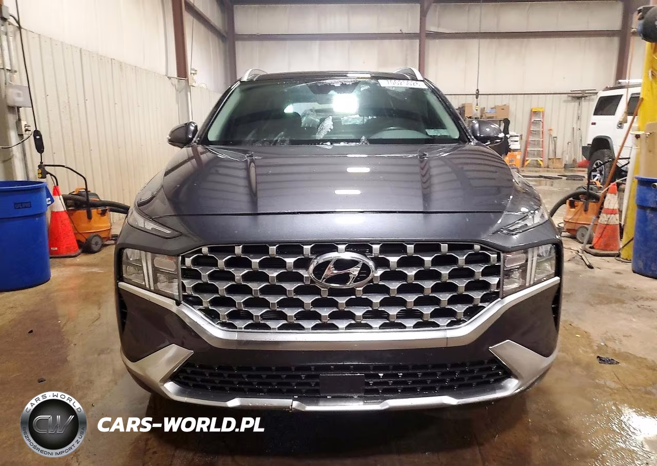 2021 Hyundai Santa Fe Sel VIN:5NMS3DAJ8MH347497 - 5