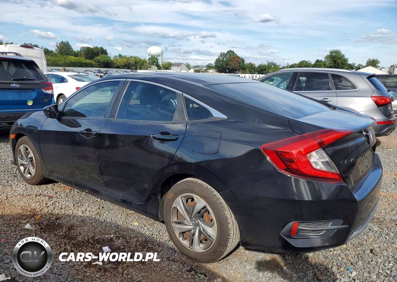 2020 Honda Civic Lx VIN:2HGFC2F65LH564950 - 2