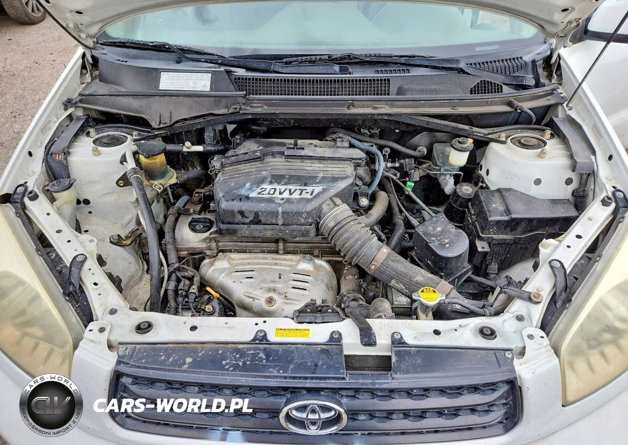 2002 Toyota Rav4 Base VIN:JTEGH20V820045796 - 11