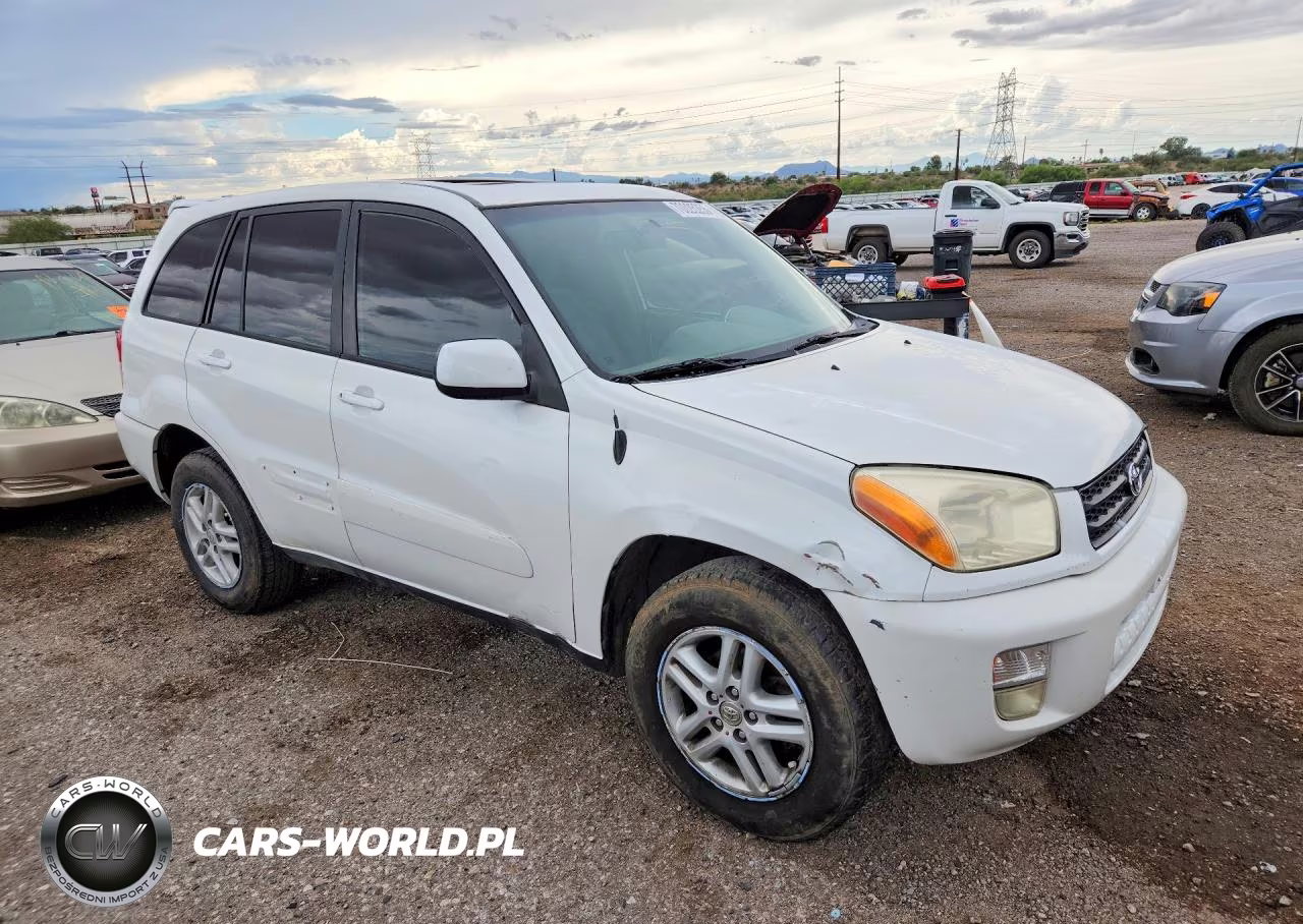 2002 Toyota Rav4 Base VIN:JTEGH20V820045796 - 4