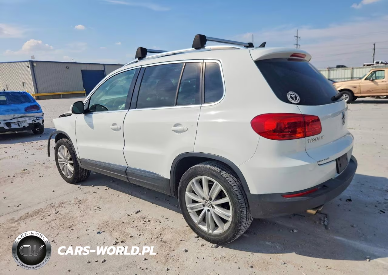 2015 Volkswagen Tiguan S VIN:WVGBV7AX9FW580039 - 2