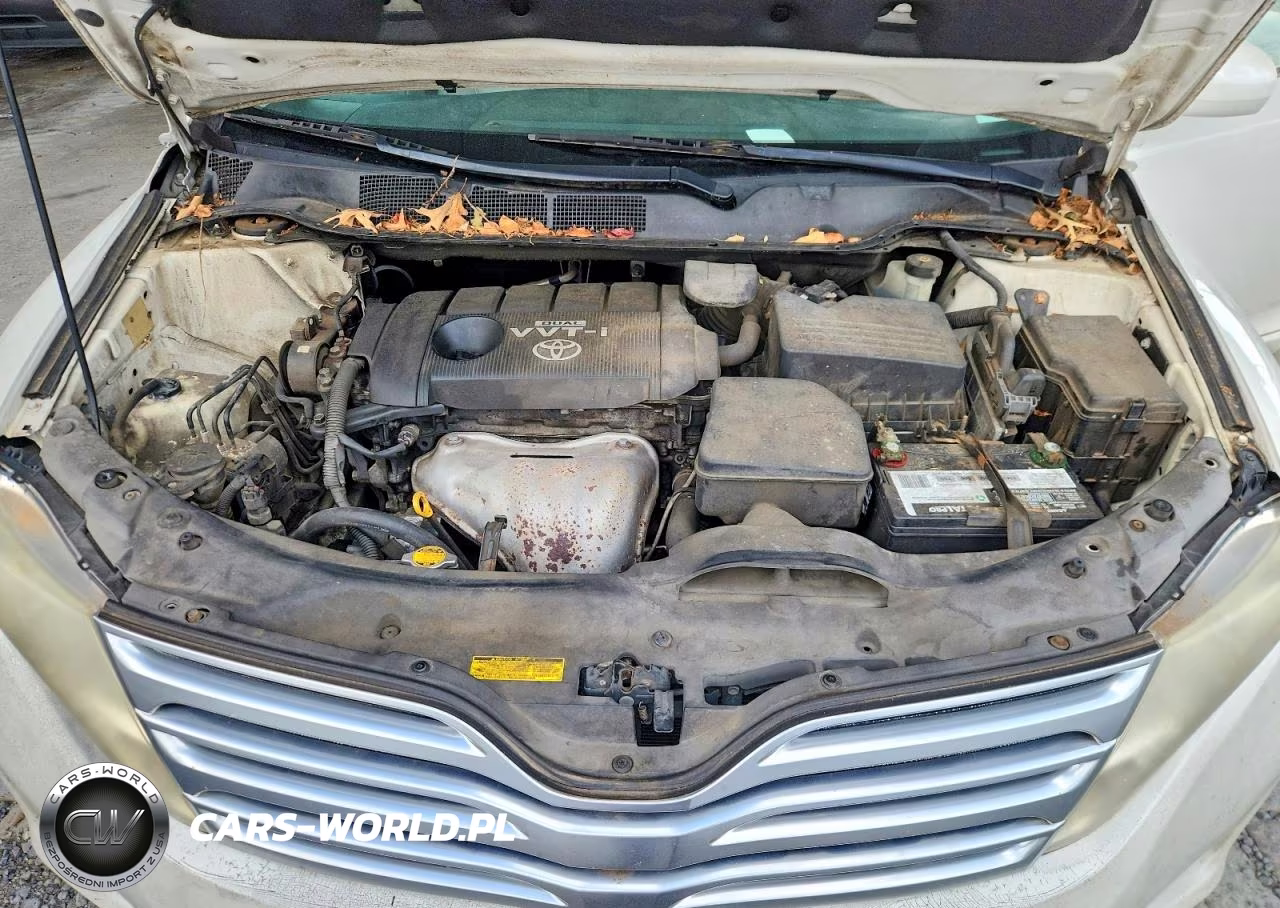 2009 Toyota Venza Fwd 4Cyl VIN:4T3ZE11AX9U018763 - 11