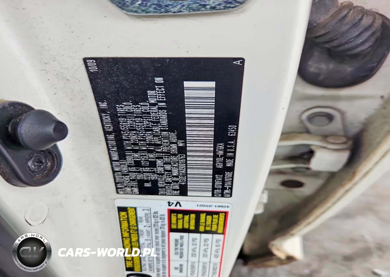 2009 Toyota Venza Fwd 4Cyl VIN:4T3ZE11AX9U018763 - 12