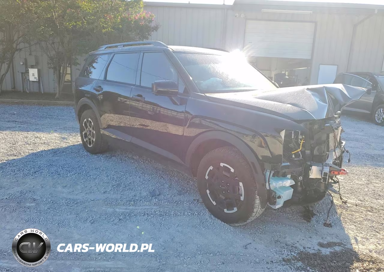 2026 Hyundai Palisade Xrt Pro VIN:KM8RJES20TU041365 - 4