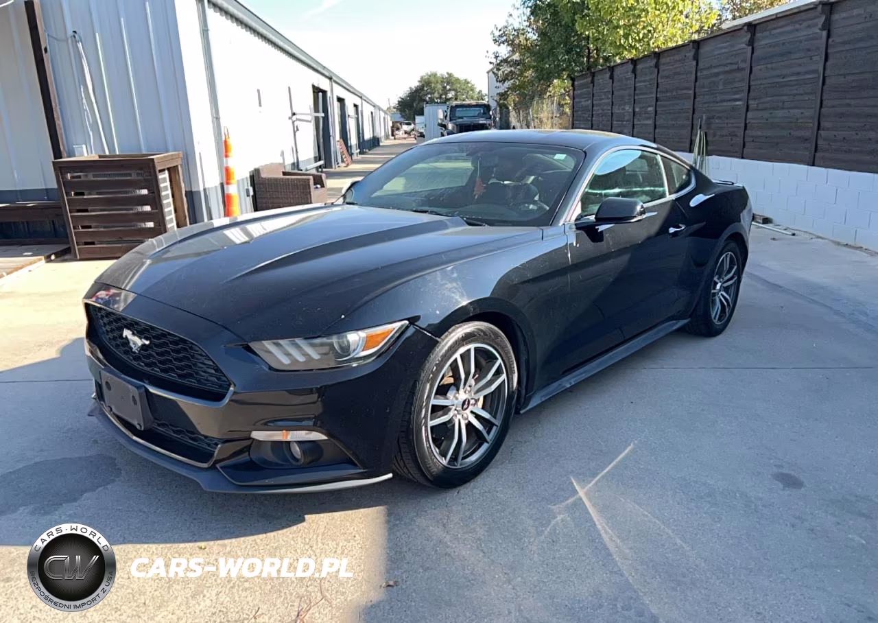 2017 Ford Mustang VIN:1FA6P8TH6H5248005 - 2