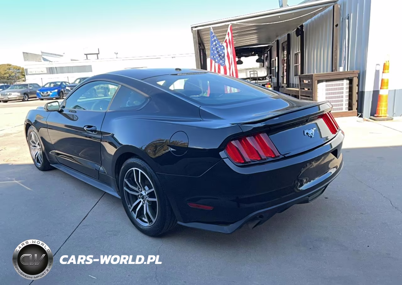 2017 Ford Mustang VIN:1FA6P8TH6H5248005 - 3