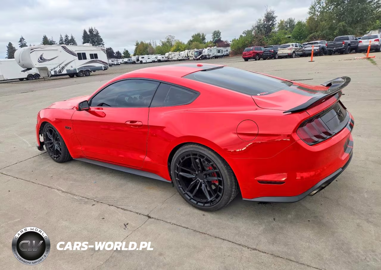 2019 Ford Mustang Gt VIN:1FA6P8CF1K5147959 - 2