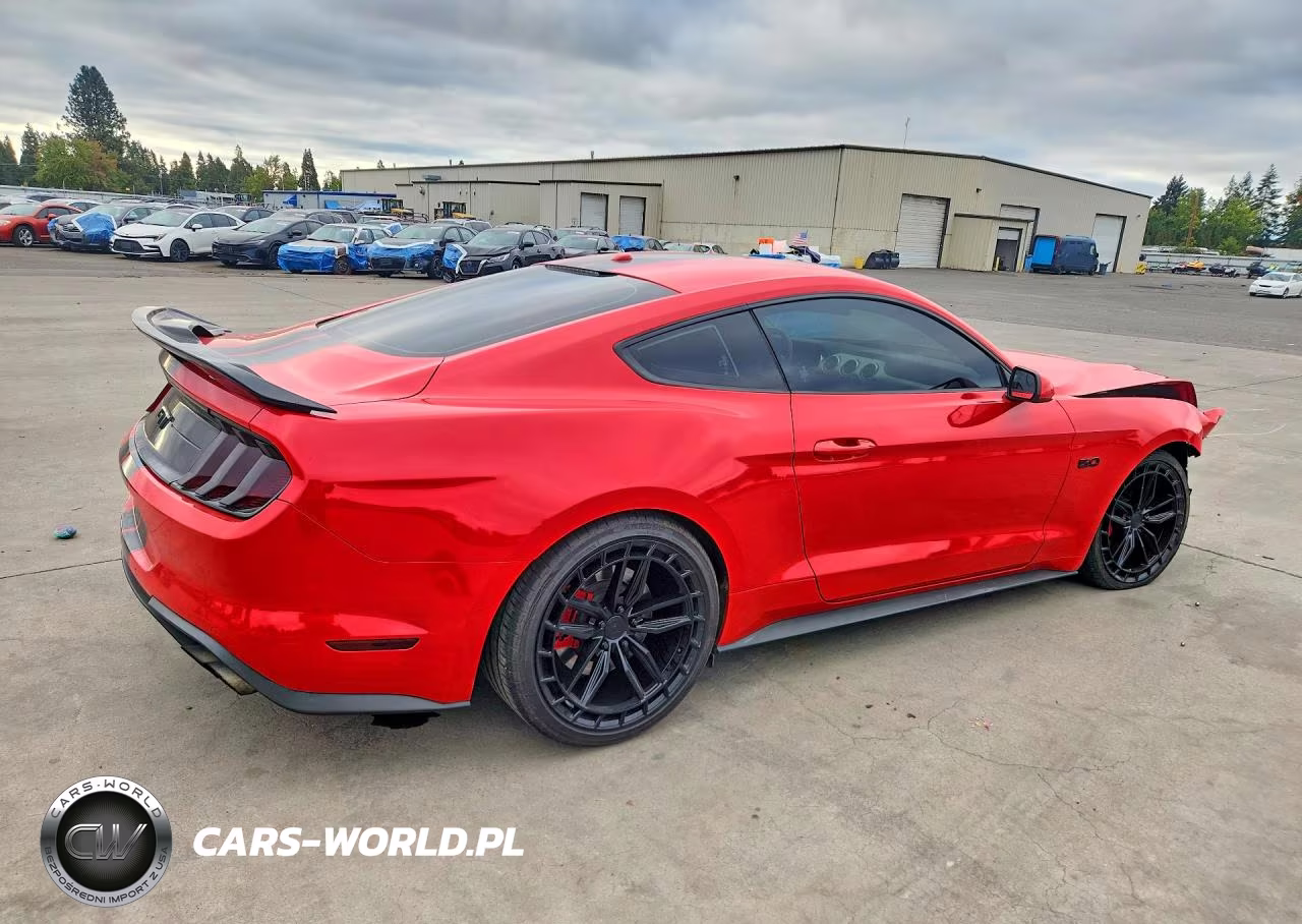2019 Ford Mustang Gt VIN:1FA6P8CF1K5147959 - 3