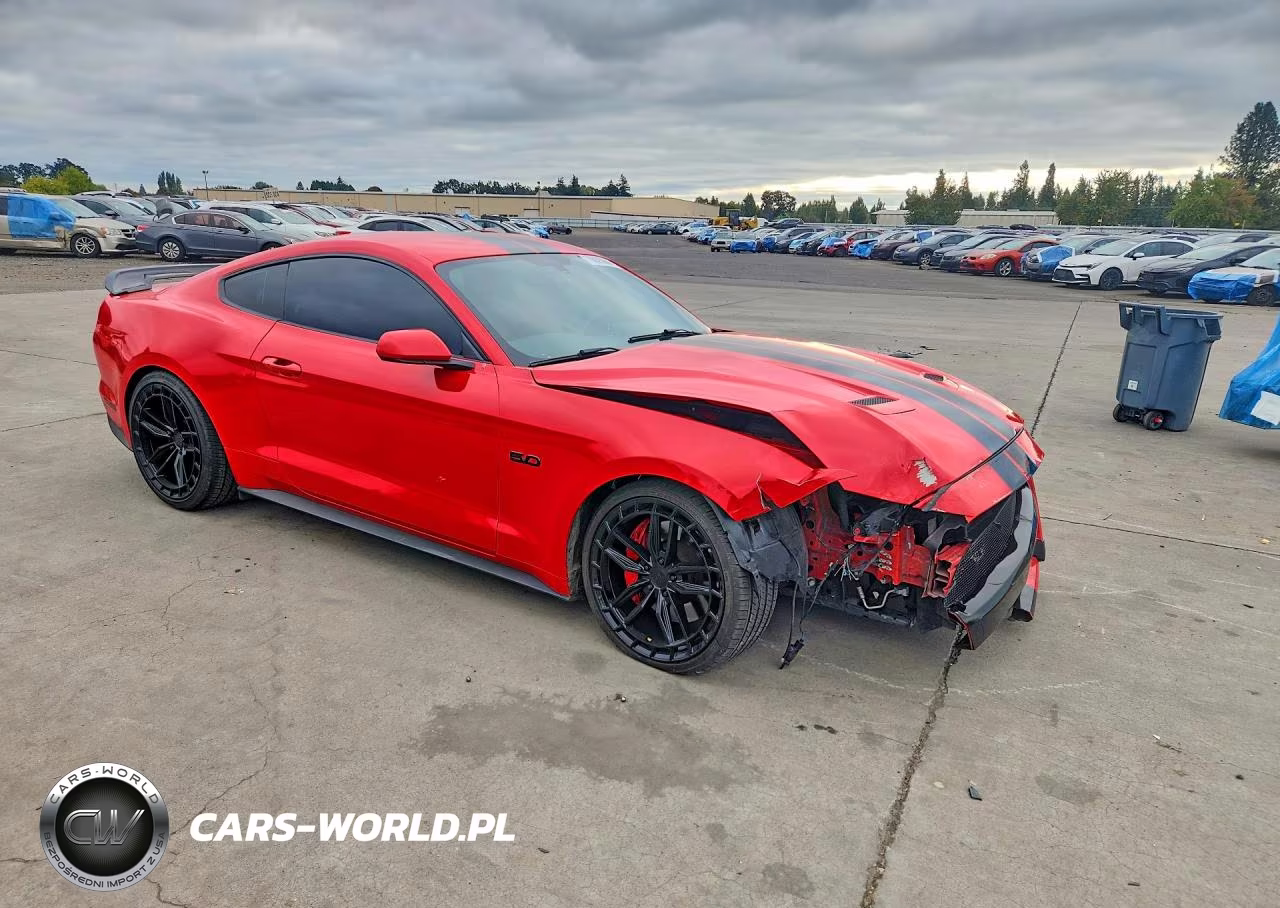 2019 Ford Mustang Gt VIN:1FA6P8CF1K5147959 - 4