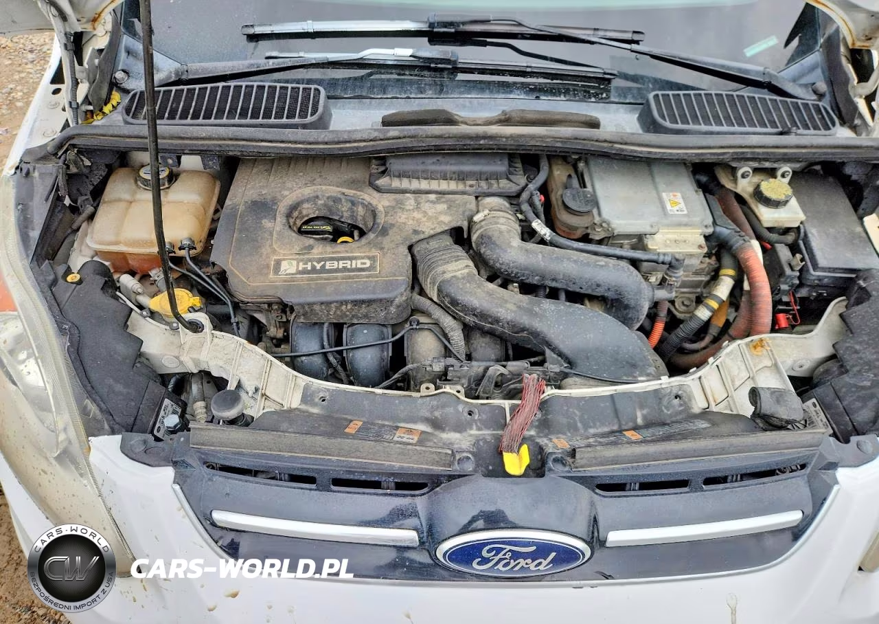 2013 Ford C-Max Sel VIN:1FADP5BU8DL519009 - 12