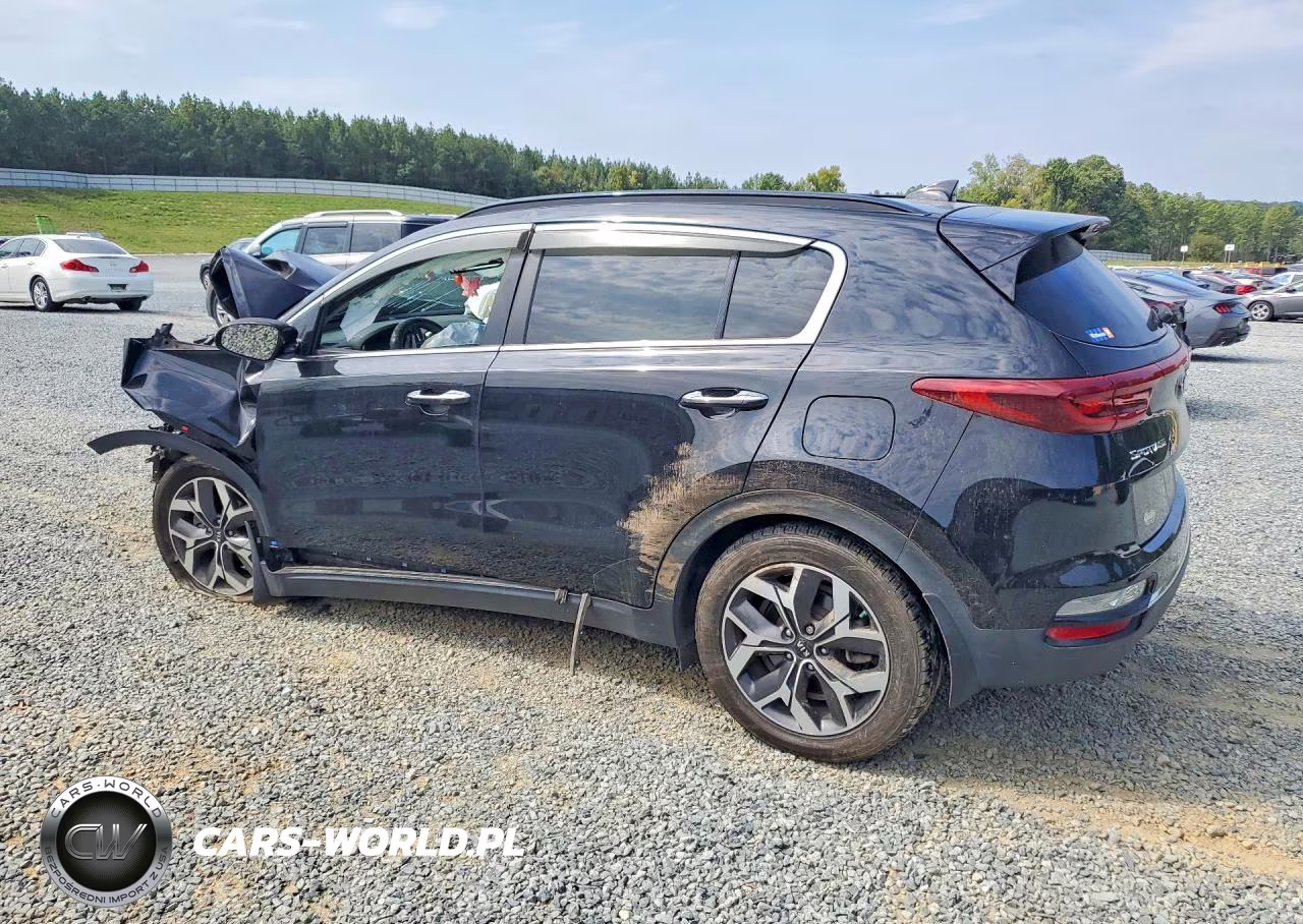 2021 Kia Sportage Ex VIN:KNDPN3AC1M7858794 - 2