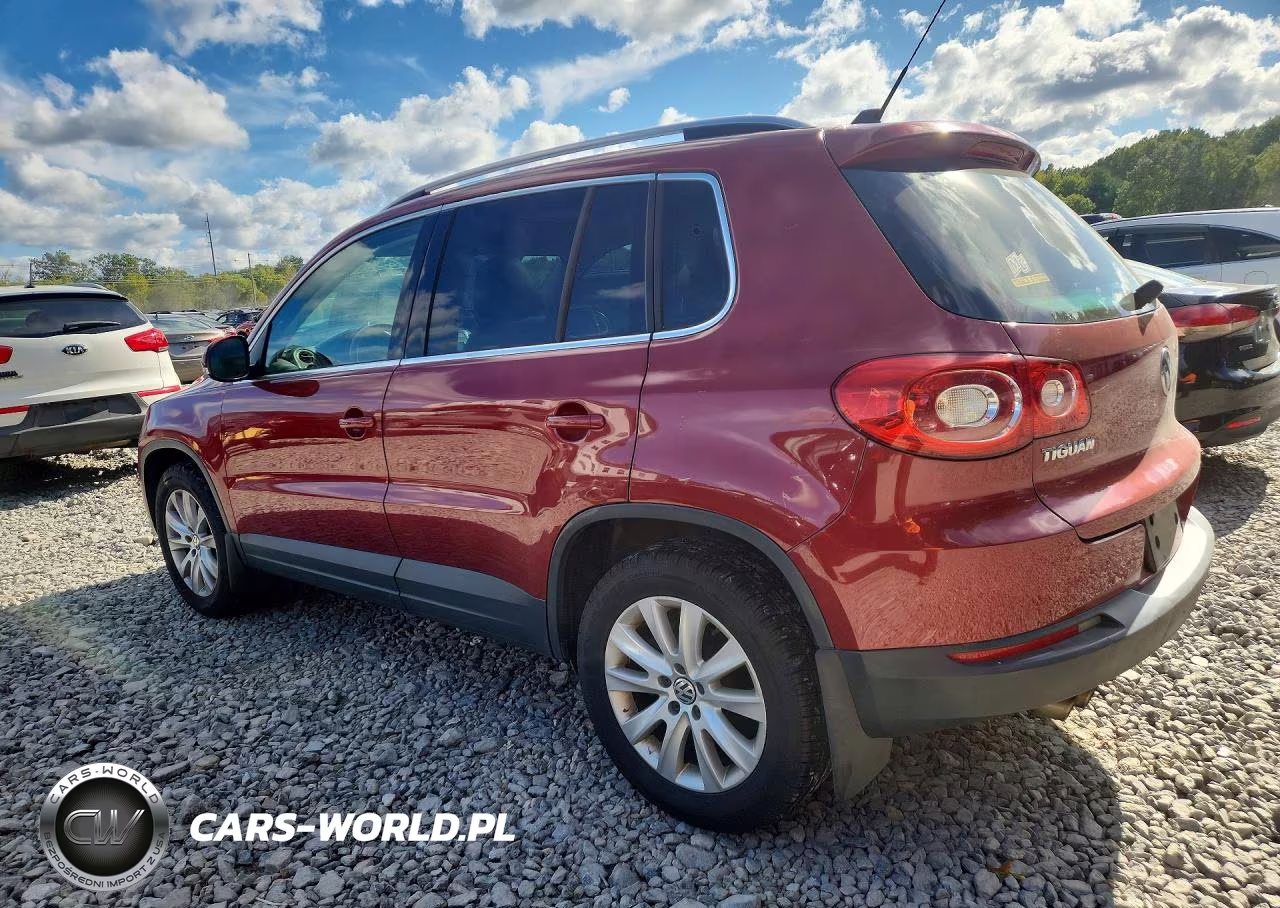 2009 Volkswagen Tiguan Se VIN:WVGBV75N69W520409 - 2
