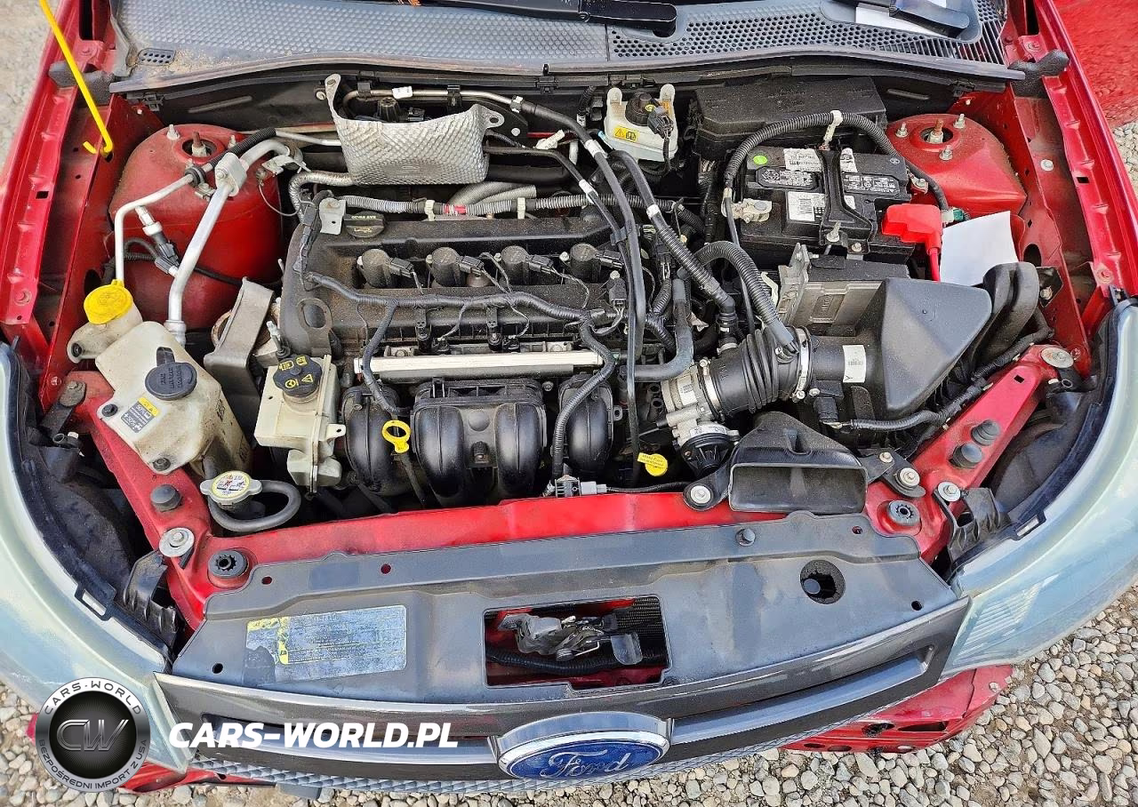 2010 Ford Focus Ses VIN:1FAHP3GNXAW141020 - 11