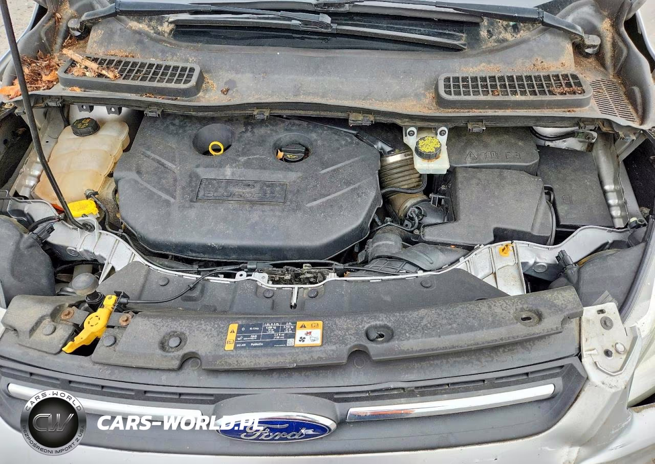 2016 Ford Escape Se VIN:1FMCU9G92GUC52356 - 12