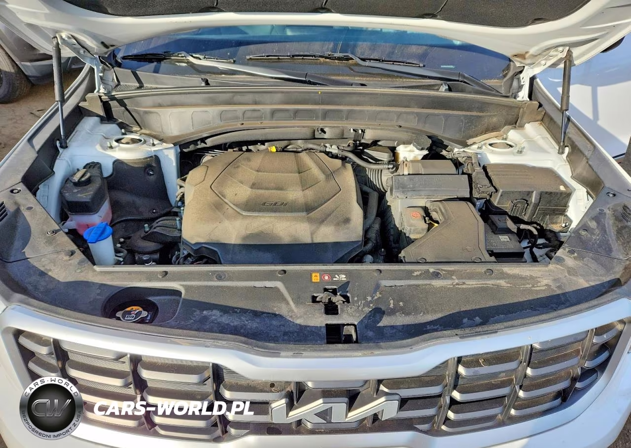 2023 Kia Telluride S VIN:5XYP6DGC6PG367283 - 12