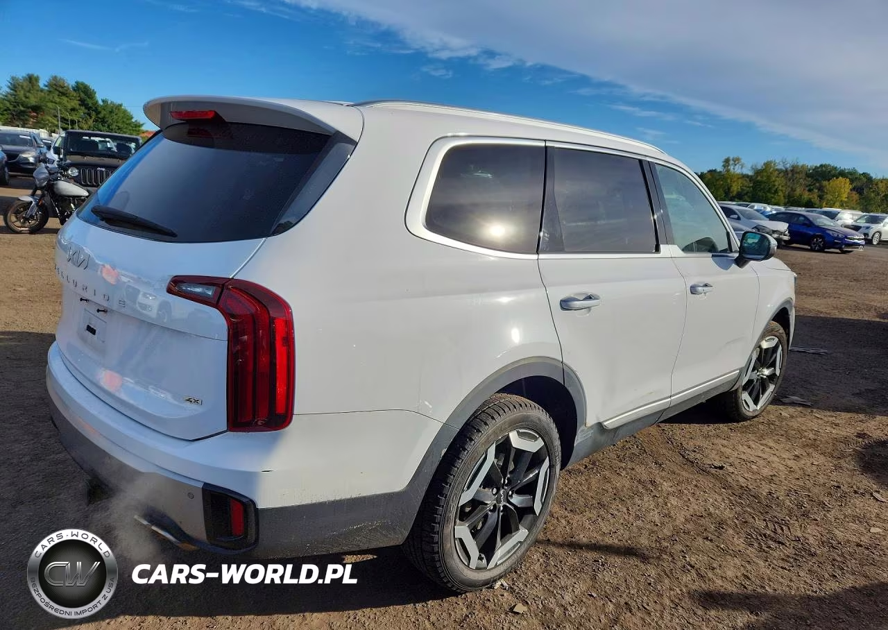 2023 Kia Telluride S VIN:5XYP6DGC6PG367283 - 3