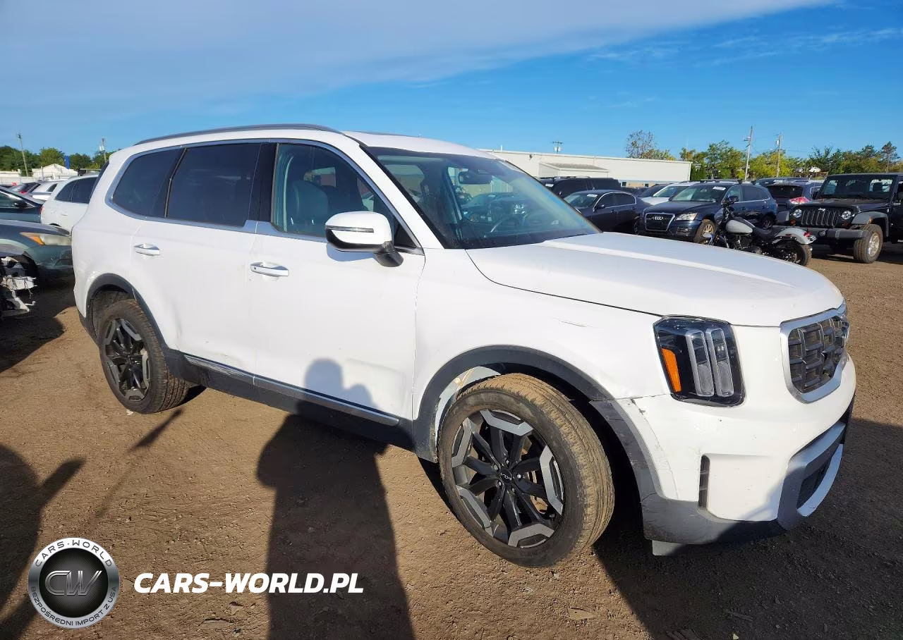 2023 Kia Telluride S VIN:5XYP6DGC6PG367283 - 4