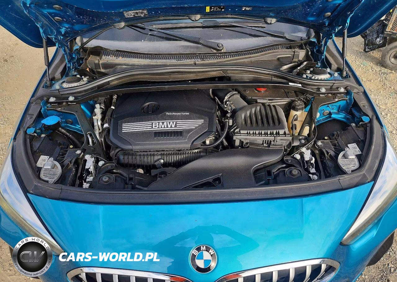 2022 BMW 228I VIN:WBA53AK09N7L14984 - 11