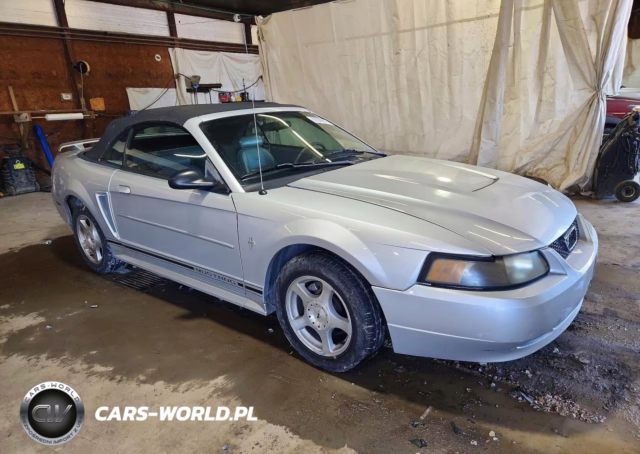 2003 Ford Mustang VIN:1FAFP44403F411481 - 4
