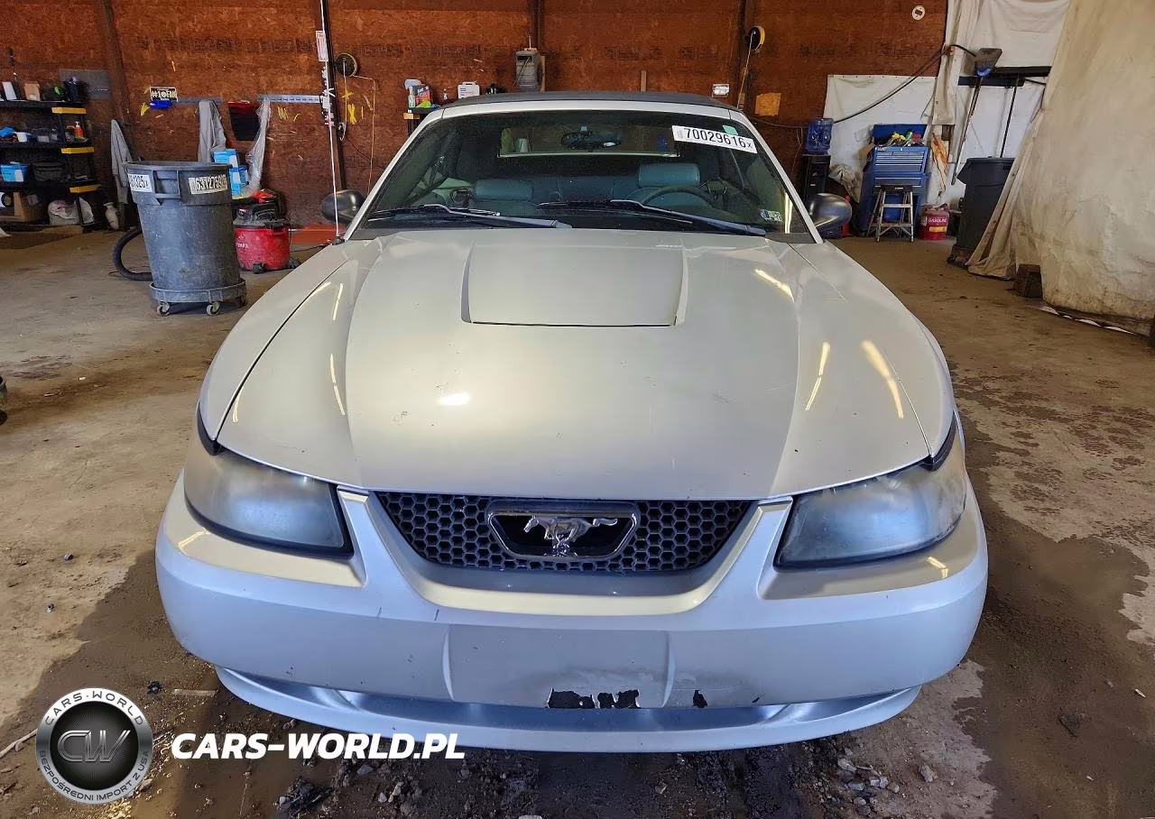 2003 Ford Mustang VIN:1FAFP44403F411481 - 5