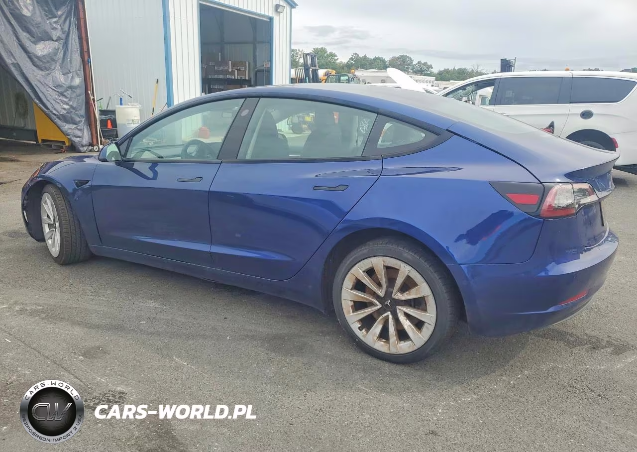 2022 Tesla Model 3 VIN:5YJ3E1EA2NF372311 - 2