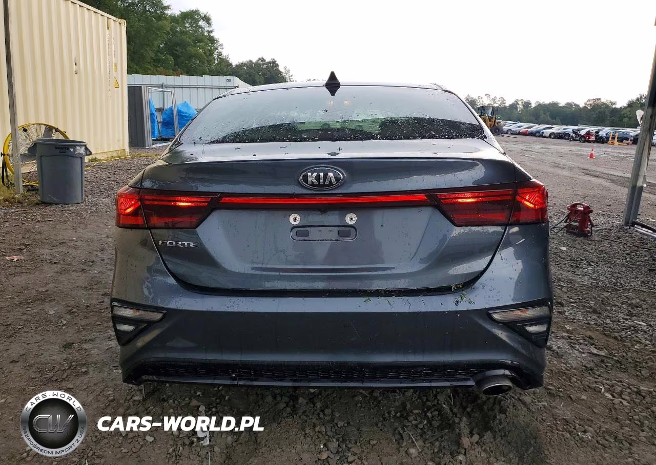2019 Kia Forte Lxs VIN:3KPF24AD7KE024352 - 6