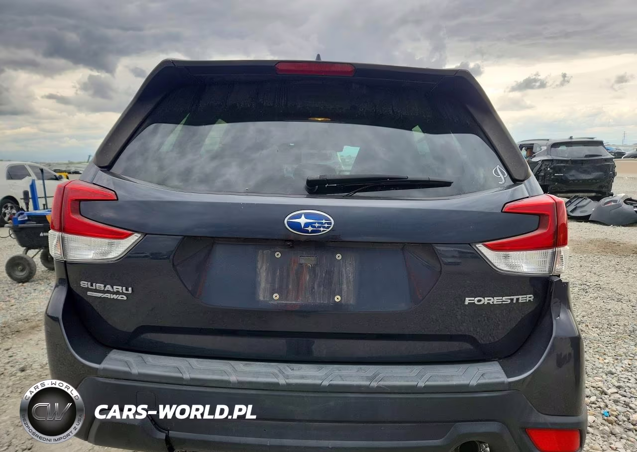 2019 Subaru Forester Limited VIN:JF2SKASC1KH407654 - 6