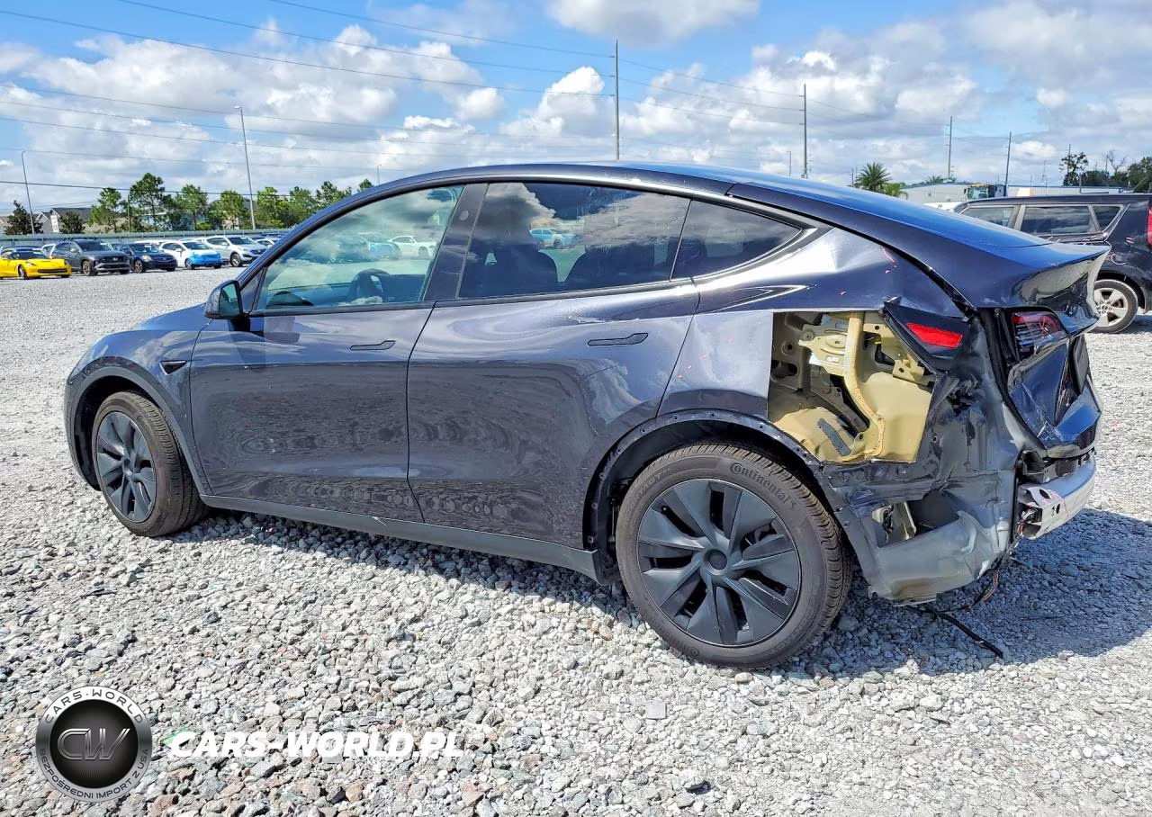 2024 Tesla Model Y VIN:7SAYGAEE4RF115467 - 2