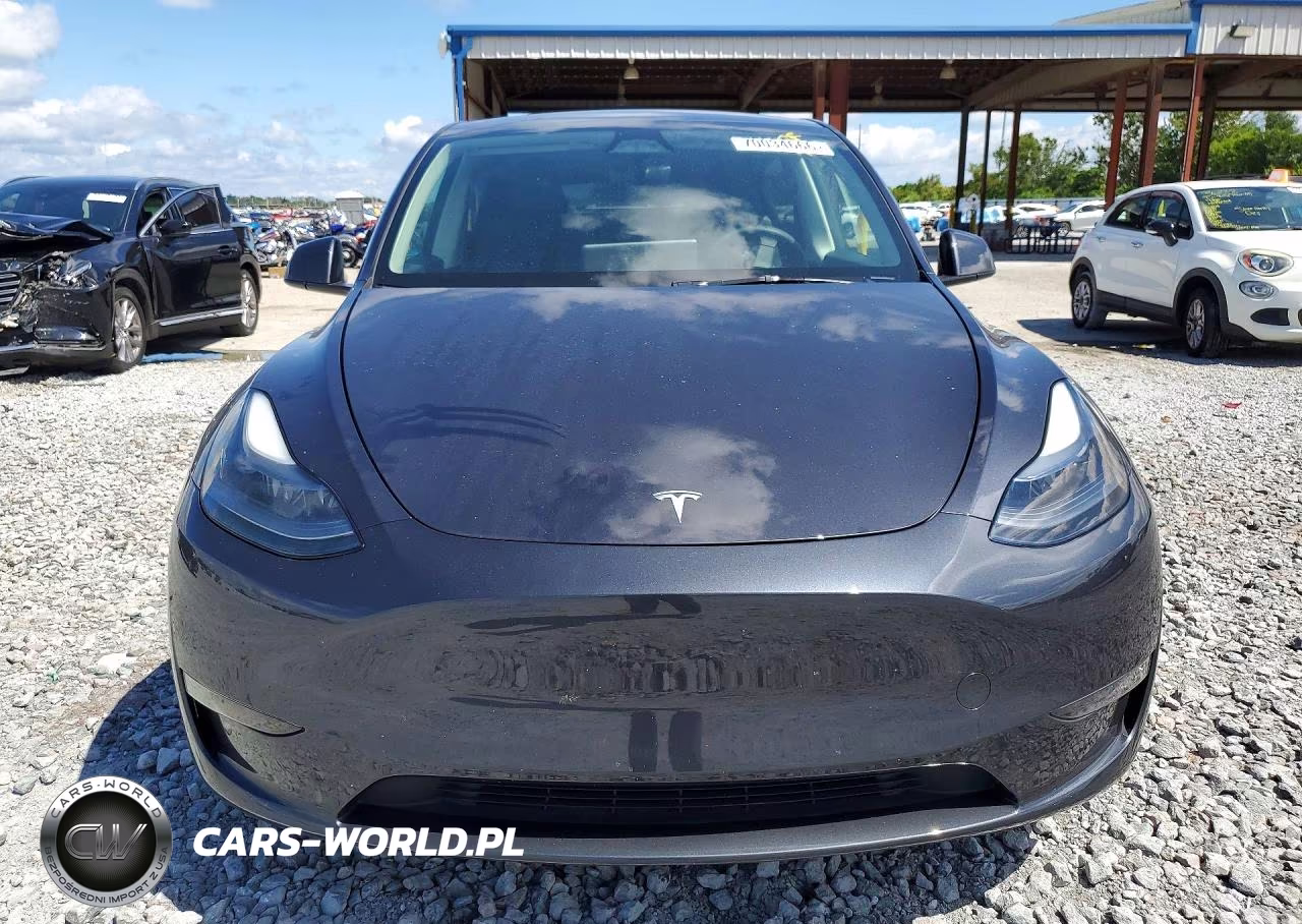 2024 Tesla Model Y VIN:7SAYGAEE4RF115467 - 5