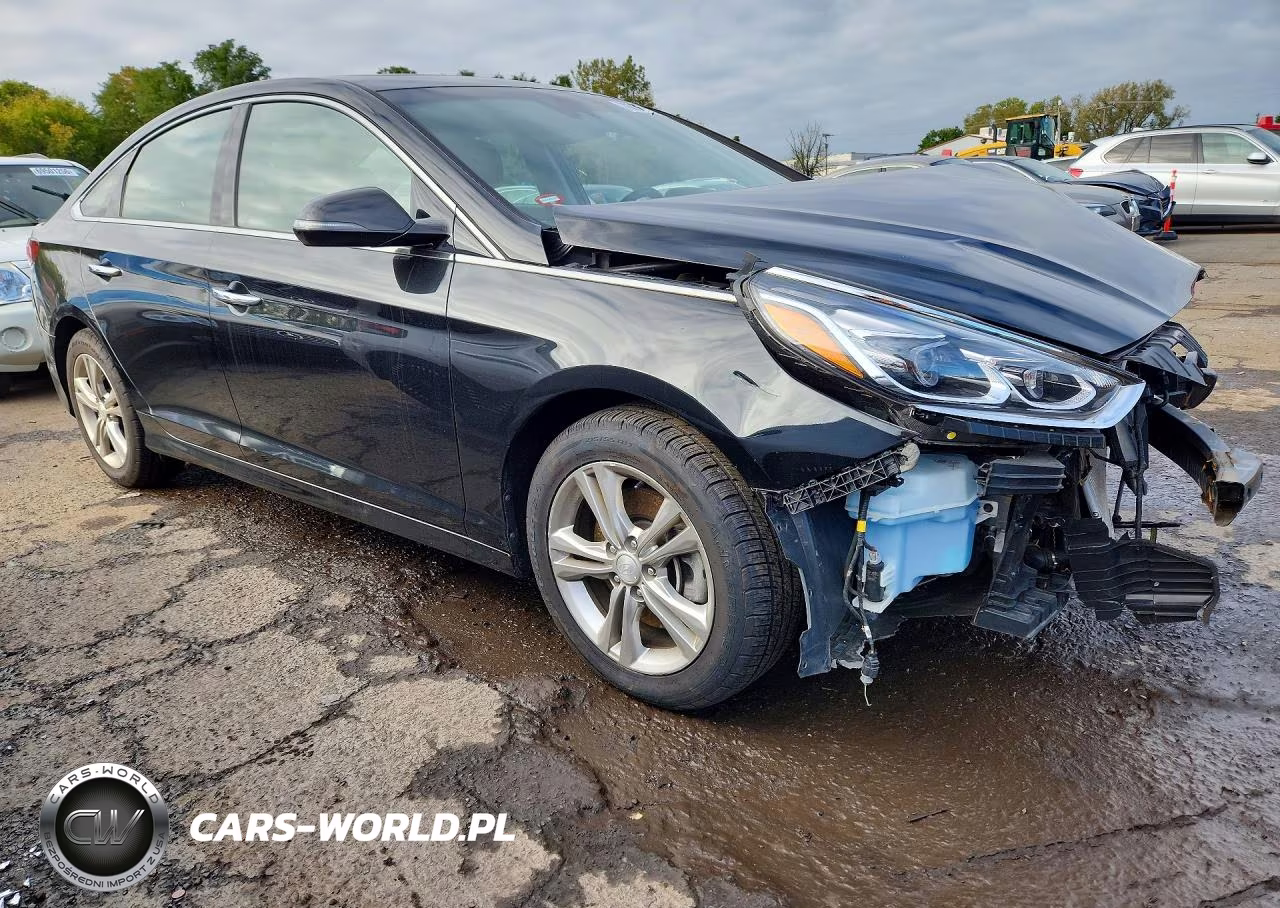 2019 Hyundai Sonata Limited VIN:5NPE34AF8KH821893 - 4
