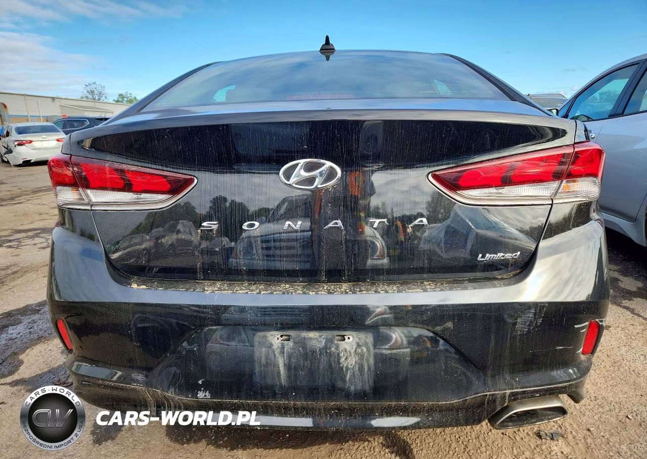 2019 Hyundai Sonata Limited VIN:5NPE34AF8KH821893 - 6