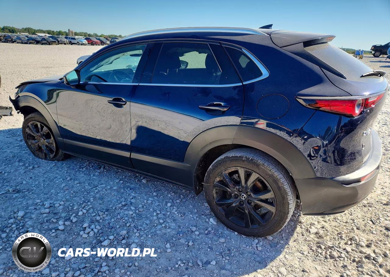 2023 Mazda Cx-30 Premium VIN:3MVDMBDY7PM526813 - 2