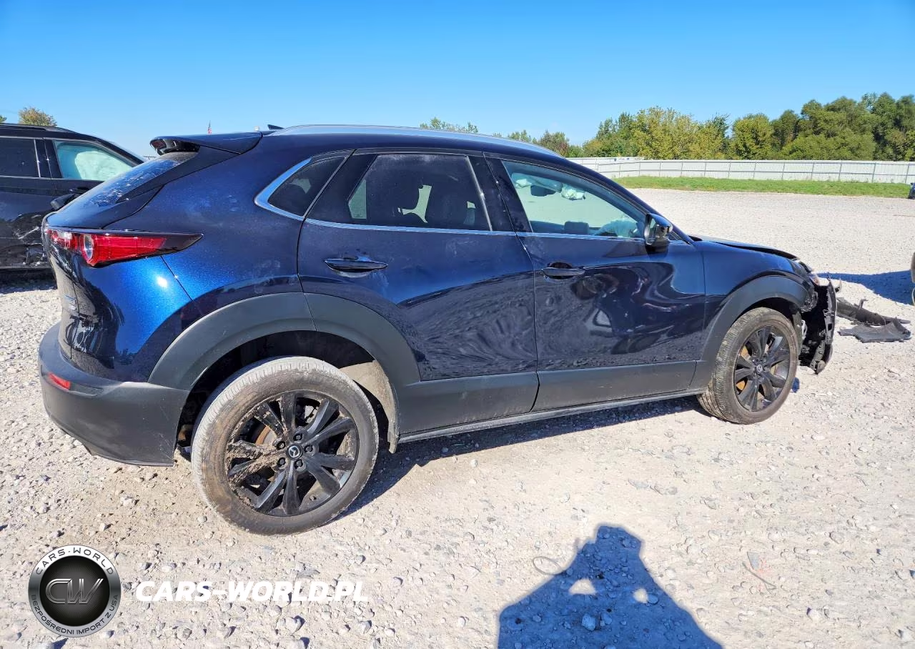 2023 Mazda Cx-30 Premium VIN:3MVDMBDY7PM526813 - 3