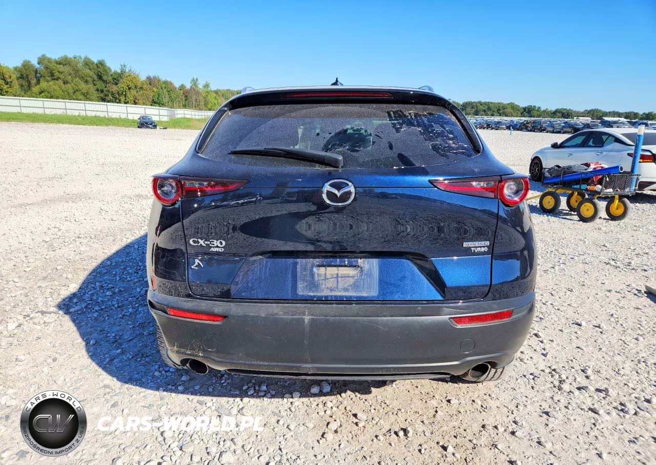 2023 Mazda Cx-30 Premium VIN:3MVDMBDY7PM526813 - 6