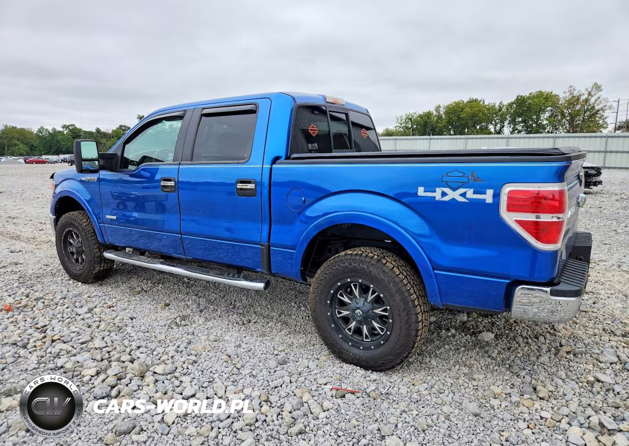 2014 Ford F150 Supercrew VIN:1FTFW1ET8EKD54667 - 2