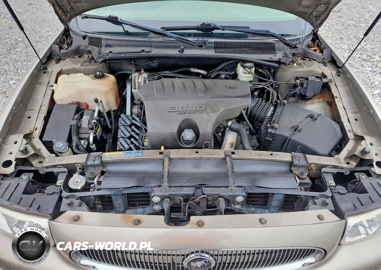 2004 Buick Lesabre Custom VIN:1G4HP52K544175395 - 10