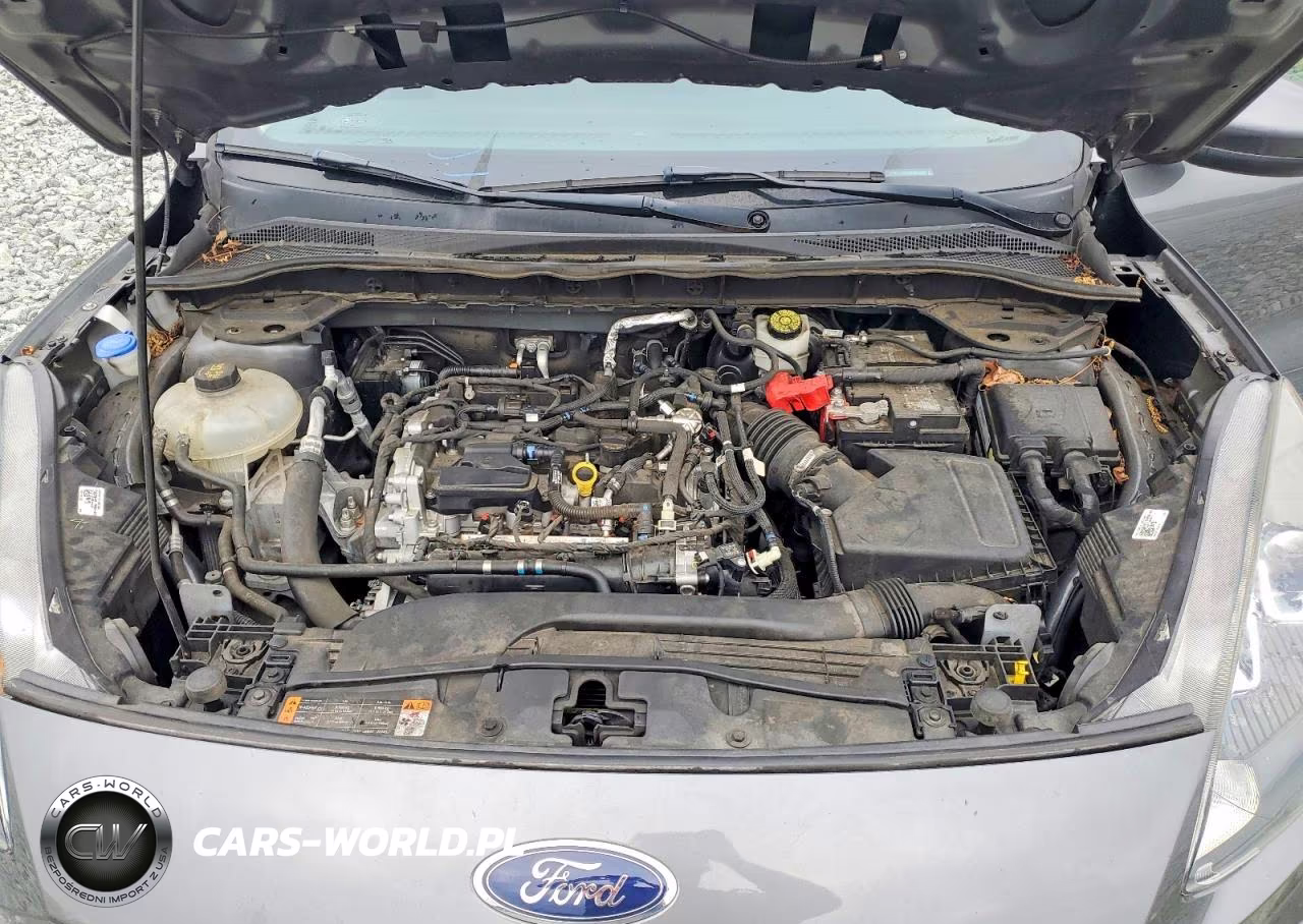 2021 Ford Escape Se VIN:1FMCU0G66MUB34369 - 12