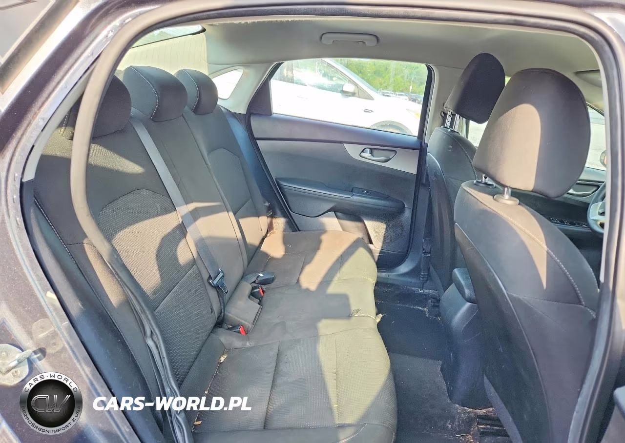 2019 Kia Forte Lxs VIN:3KPF24AD7KE103259 - 10