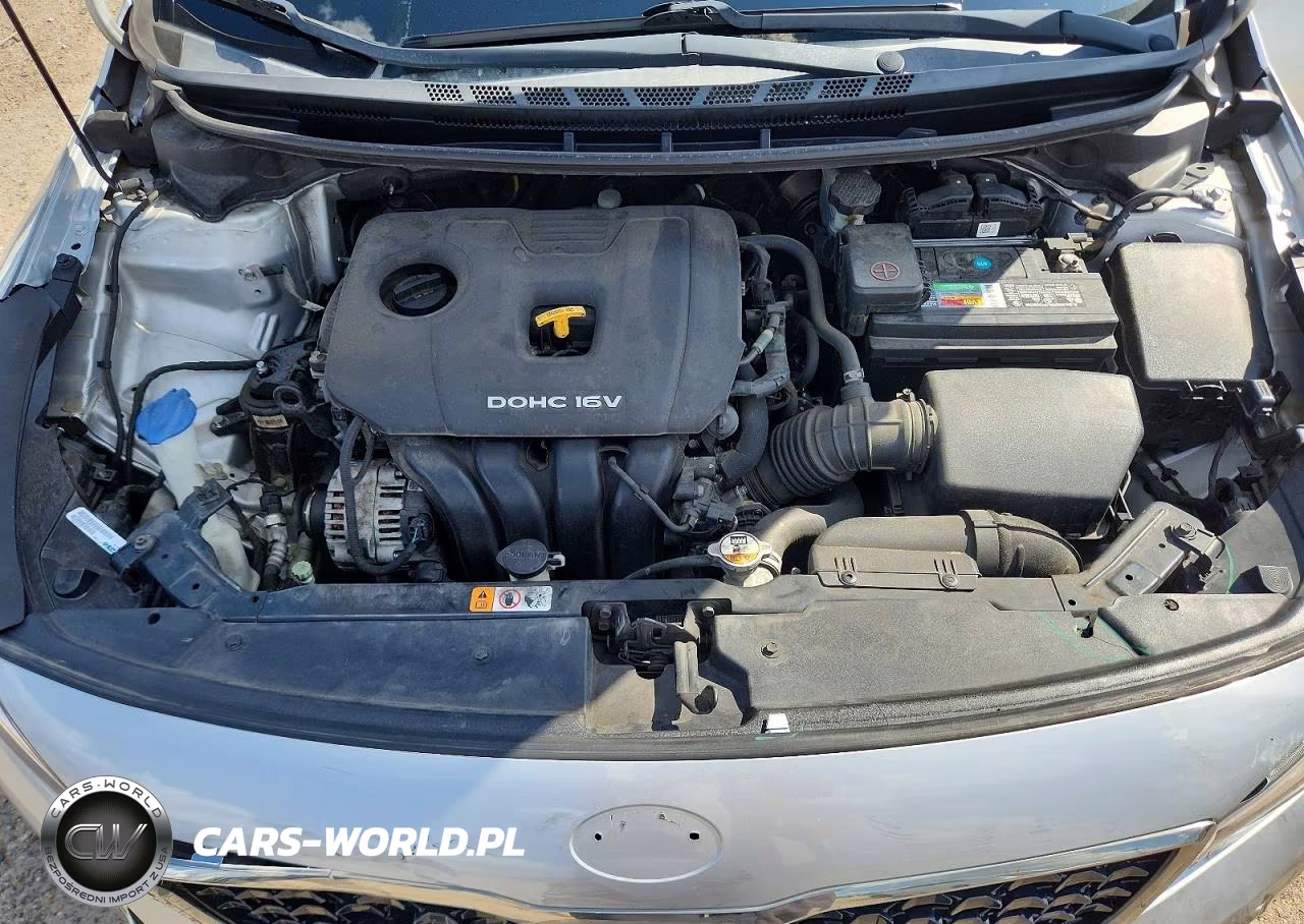 2017 Kia Forte Lx VIN:3KPFK4A77HE118878 - 11
