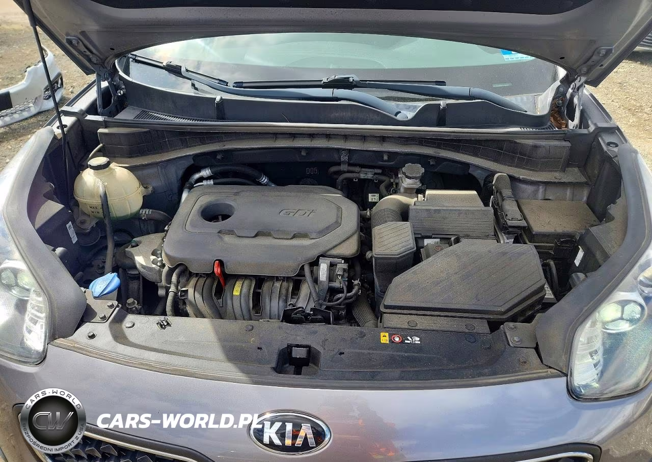 2018 Kia Sportage Lx VIN:KNDPM3AC1J7443876 - 12