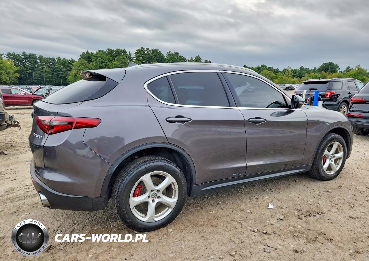 2019 Alfa Romeo Stelvio VIN:ZASPAJAN6K7C71352 - 3