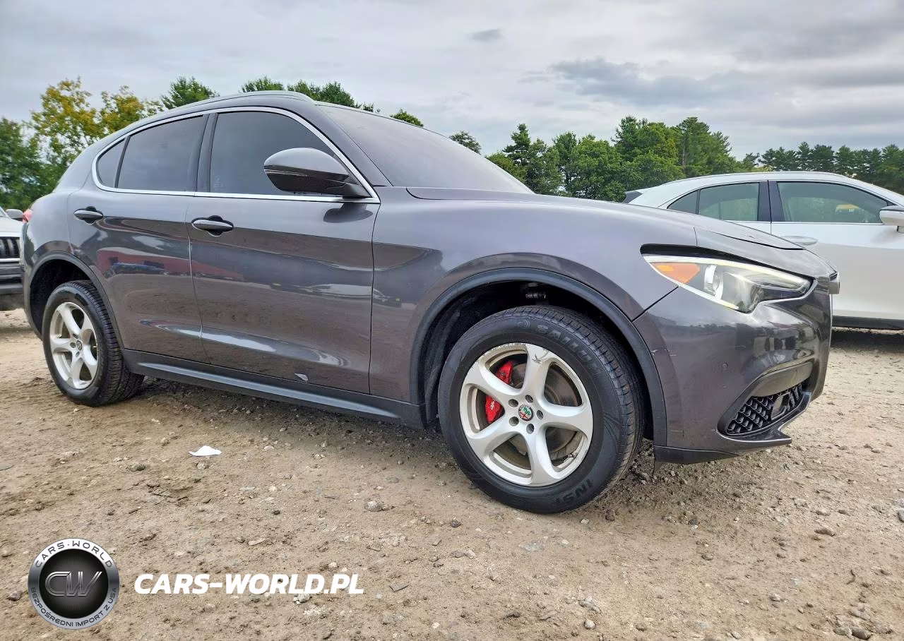 2019 Alfa Romeo Stelvio VIN:ZASPAJAN6K7C71352 - 4