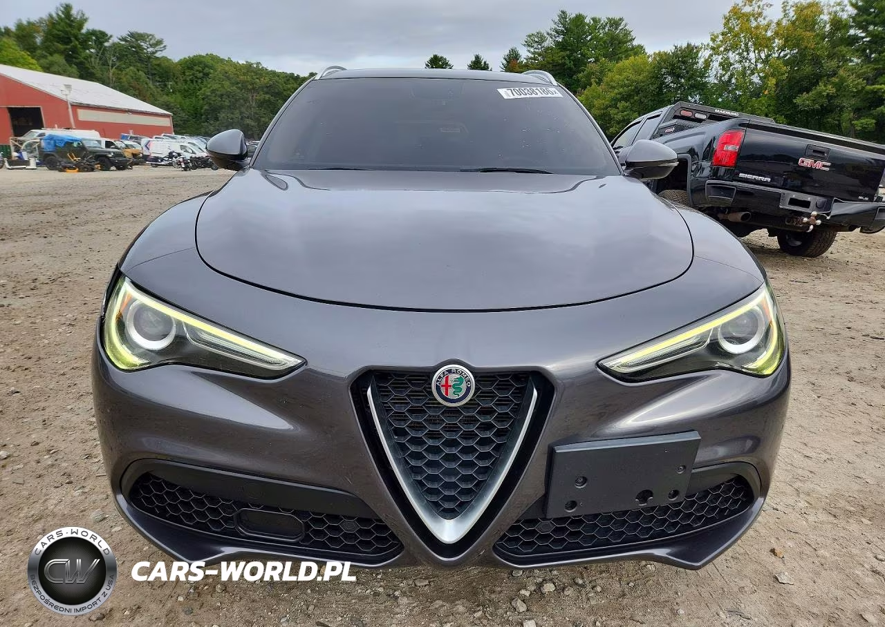2019 Alfa Romeo Stelvio VIN:ZASPAJAN6K7C71352 - 5