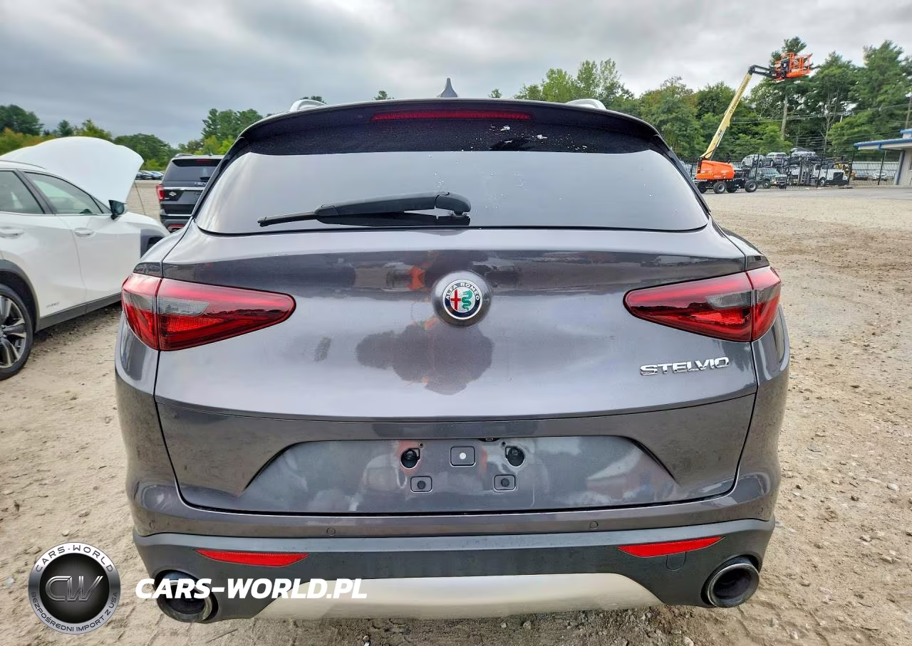 2019 Alfa Romeo Stelvio VIN:ZASPAJAN6K7C71352 - 6